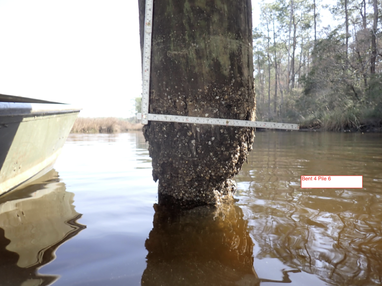 A measuring tape next to a deterorating wooen support piling in river water shows how much width has been lost.
