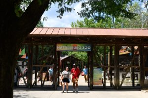 The Hattiesburg Zoo draws nearly 200,000 guests each year, offering interactive exhibits, educational programs and seasonal events for families and visitors of all ages.