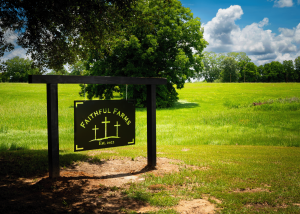 A wooden sign for Faithful Farms stands near a grassy area with trees in the background.