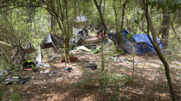 A wooded area with scattered tarps, trash, and makeshift shelters made from plastic and cloth. Trees and debris surround the camp.