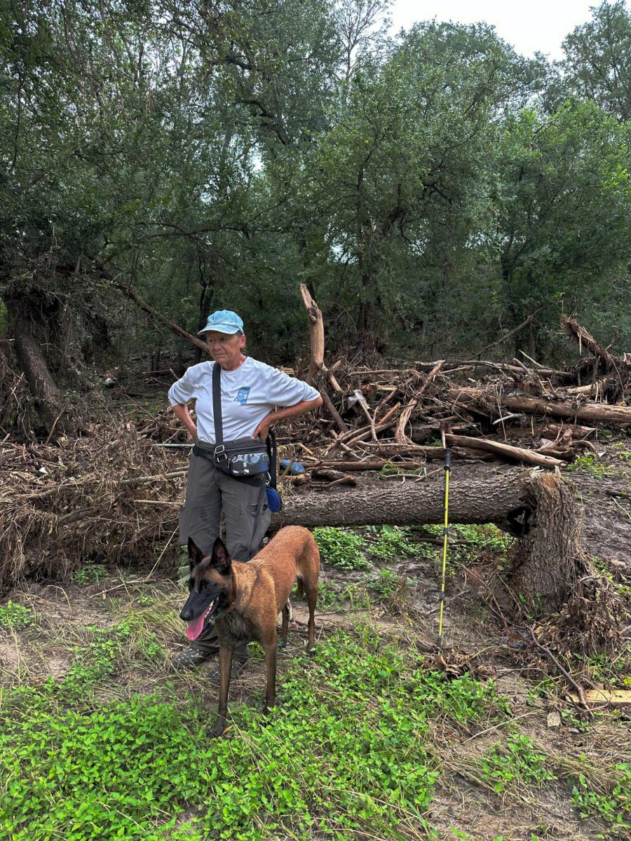 Woman standing next to a dog in front of a downed tree.