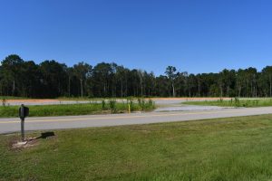 Cleared land and early site work mark the location of the future technology park in Picayune.