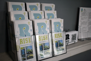 A close-up of neatly arranged brochure holders filled with RISE pamphlets. The pamphlets show a large blue letter “R” with a small green leaf sprouting from it, the word “RISE” in bold yellow-green letters below, and a website address at the bottom. The brochures are displayed against a gray wall, suggesting an office or lobby setting.