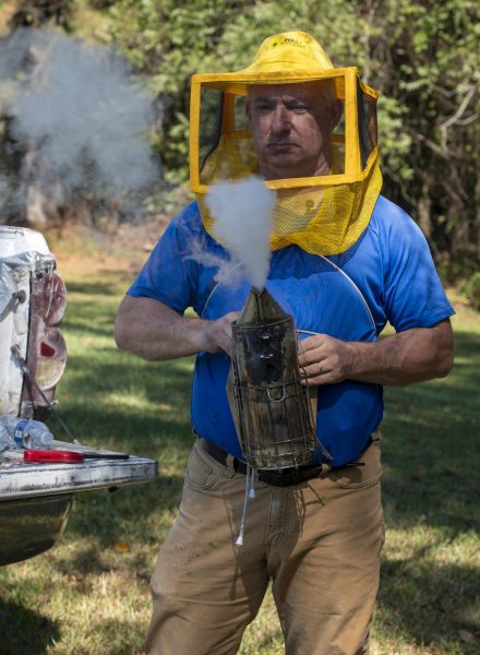 A beekeeper in a blue shirt and yellow mesh veil uses a smoker beside colorful bee boxes.