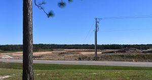 A tall pine tree stands in the foreground beside a paved road. Across the road, a large area of flattened earth shows heavy equipment tracks and piles of dirt under a cloudless blue sky. Power lines stretch horizontally above the site, and a forested tree line borders the horizon.