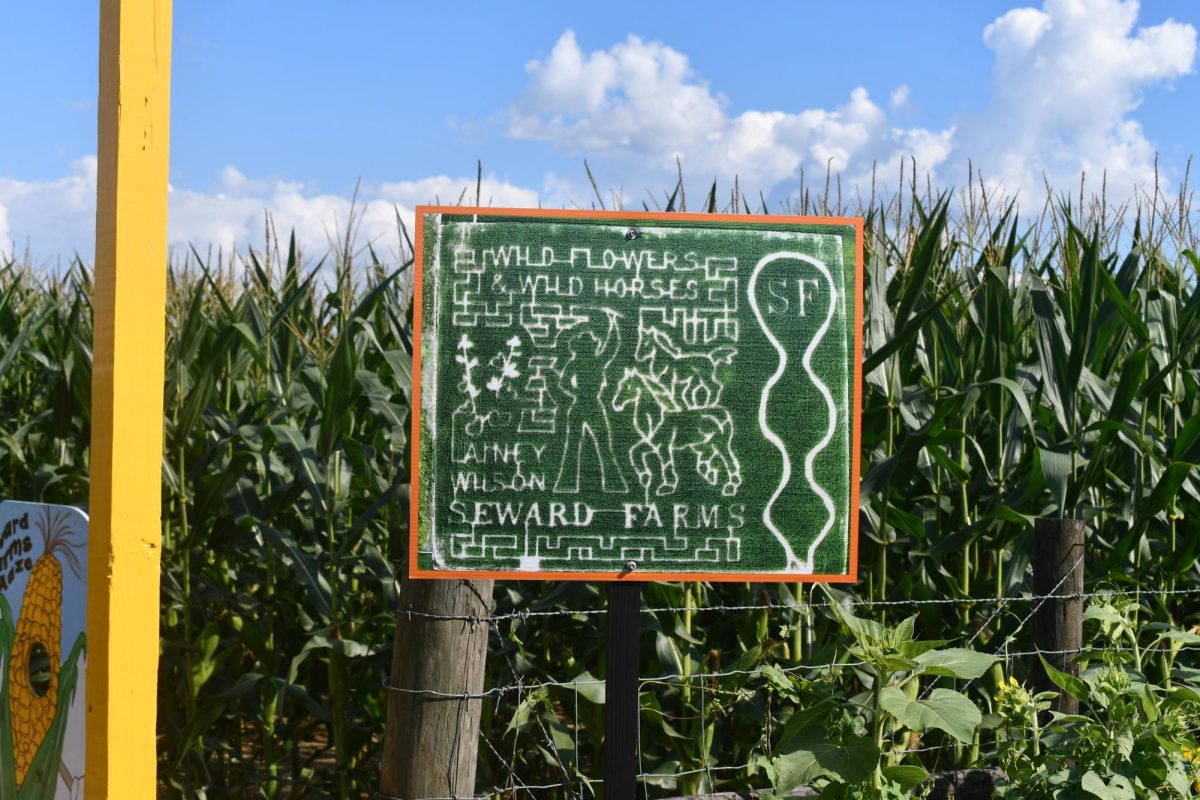 A sign shows the layout of a 7-acre corn maze at Seward Farms, surrounded by tall corn stalks.