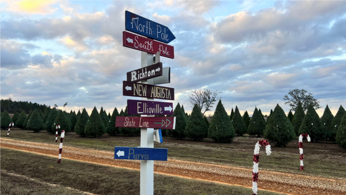 A wooden Christmas-themed sign pointing toward different areas of a tree farm.