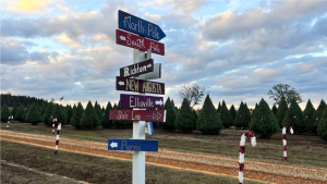 A wooden Christmas-themed sign pointing toward different areas of a tree farm.
