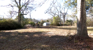 Grassy roadside area in New Augusta where a future lift station will be installed to improve sewer system reliability.