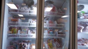 Glass-door freezer filled with packaged seafood labeled “Domestic” and “Imported” on white storage bins.