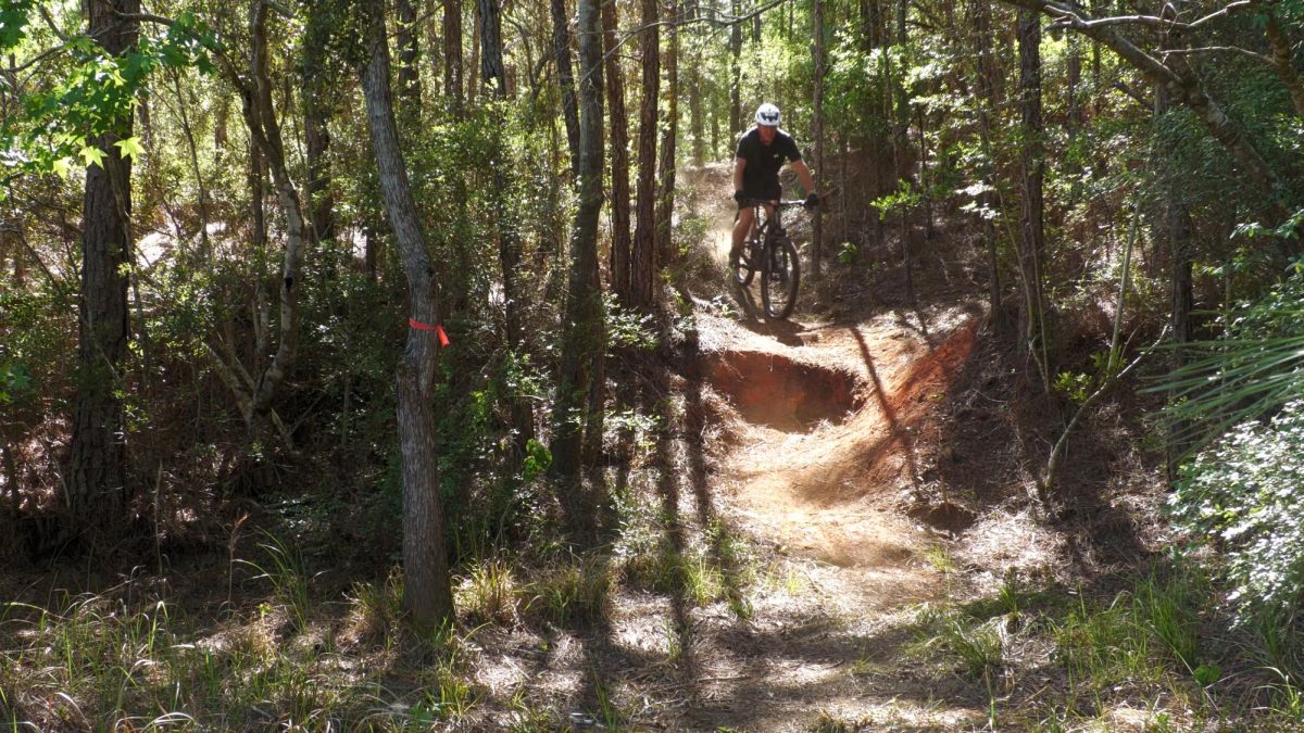 A biker rides down a wooded trail that continues into the foreground.