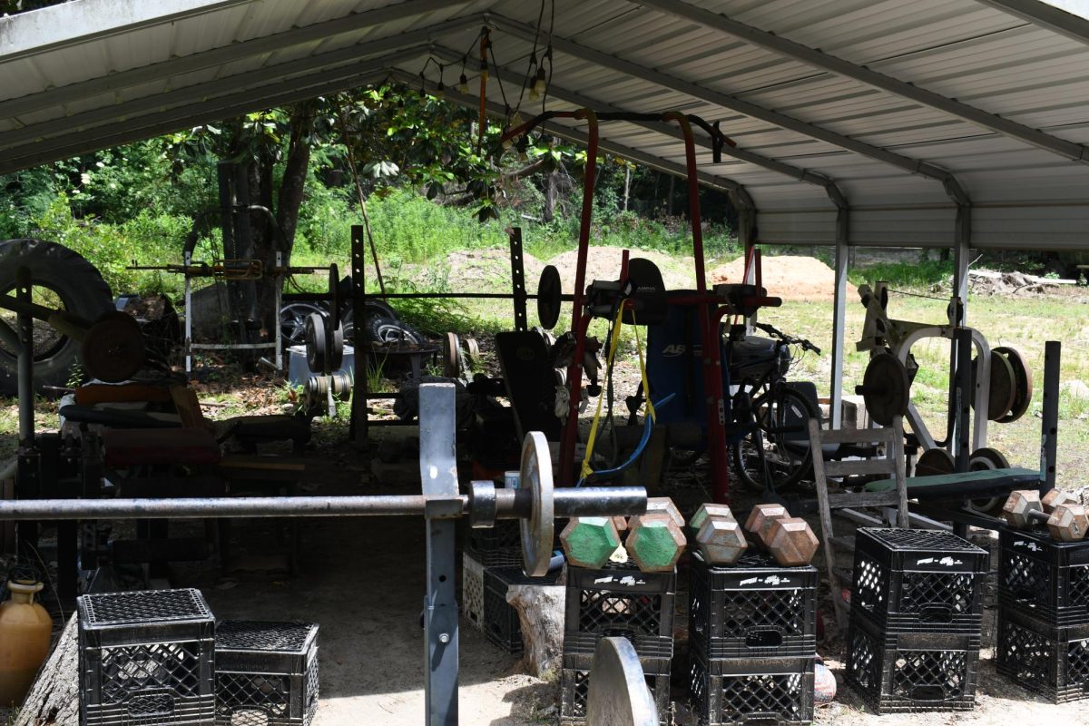 An outdoor home gym with weights, benches and exercise equipment set up under a metal carport.