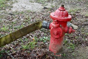 A red fire hydrant with a hose attached sits next to a wooded area.