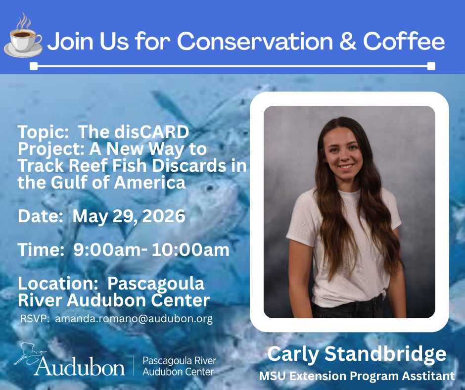 A blue flyer promotes a May 29 Conservation & Coffee program at the Pascagoula River Audubon Center about the disCARD project. The flyer includes a photo of Carly Standbridge, event details and Audubon branding.