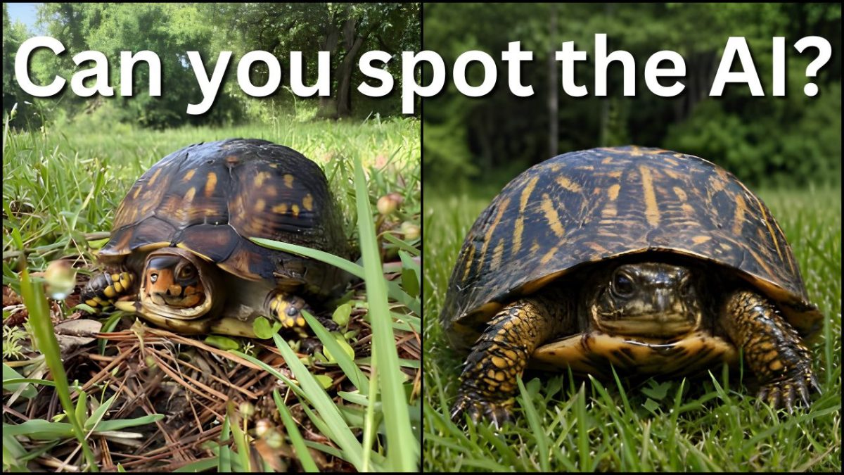 Side-by-side images of two turtles in grass with large text at the top reading, “Can you spot the AI?”