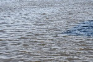 Brownish water moves in currents along a Mississippi Gulf Coast beach.
