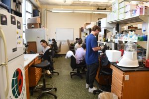 Several students and researchers work at desks and laboratory stations in a busy lab filled with equipment, supplies and shelves.