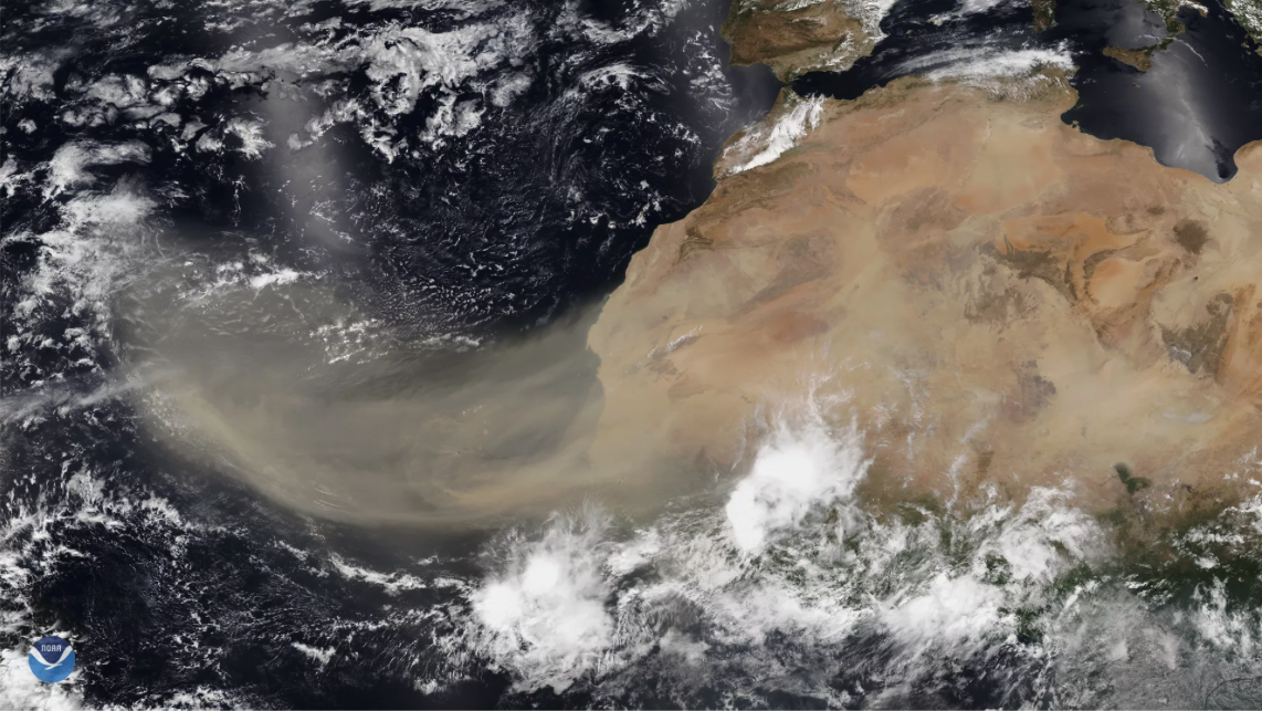 A meteorological map shows a plume of Saharan dust extending west from the coast of North Africa across the Atlantic Ocean.